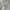 Pull & Bear Skater Casual Wanita white photo 5