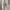 Pull & Bear Skater Casual Wanita white photo 3