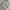 Pull & Bear Skater Casual Wanita white photo 4