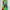 Issey Miyake Casual Casual dress Wanita multicolor photo 5