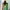 Issey Miyake Casual Casual dress Wanita multicolor photo 4