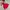 The North Face Minimalist Casual Windbreaker Kids red photo 1