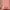 Muslim Wanita green pink photo 1