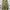 Et Cetera Streetwear Casual Culotte Wanita Green