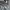 EDWIN Vintage Streetwear Jeans Pria blue photo 4