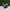 Adidas Casual Sneakers Pria white black photo 1