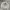 Streetwear Minimalist Sweater Pria Gray