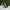 Adidas Casual Sneakers Pria white black photo 1