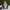 Adidas Casual Sneakers Pria white black photo 4