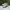 Adidas Casual Sneakers Pria white green photo 3