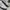 Adidas Casual Sneakers Pria white green photo 2