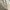 Imperial Horse Casual Harrington jacket Pria cream photo 3