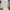 Imperial Horse Casual Harrington jacket Pria cream photo 1