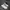 Vintage Casual Sneakers Wanita white photo 1