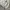 Avant Garde Sportswear Sweater Pria Gray