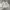 Avant Garde Sportswear Sweater Pria gray photo 1