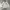 Avant Garde Sportswear Sweater Pria Gray