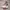 Nike Air Jordan Casual Sneakers Pria white photo 1