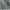 Champion Sportswear Sweatshirt Pria gray photo 1