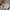 Y2K Lolita Skirt Wanita cream photo 4