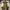 Dickies Reworked Pria brown photo 1
