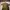 Dickies Reworked Pria brown photo 3