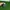 On Running Sportswear Sneakers Pria green black photo 3