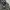 Japanese brand Gorpcore Sportswear Swimwear Pria gray photo 5
