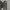 Japanese Brand Gorpcore Sportswear Swimwear Pria Gray