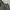 Japanese brand Gorpcore Sportswear Swimwear Pria gray photo 3