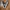 VANS Skater Minimalist Casual shoe Pria navy photo 3