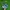 On Running Sportswear Sneakers Pria green blue photo 1
