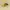 Puma Streetwear Sportswear Sneakers Pria black yellow photo 1