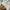 X-girl Casual Sweatshirt Pria white photo 5