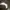 Moncler Luxury Loafer Pria white photo 7