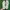 Moncler Luxury Loafer Pria white photo 4