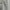 Hugo Boss Casual Polo shirt Pria silver gray photo 3