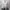 ZARA Casual Backpack Wanita white photo 4