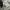Adidas Casual Track jacket Pria silver gray photo 5