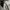 Adidas Casual Track jacket Pria silver gray photo 6