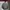 Vintage Streetwear Bomber jacket Pria green photo 3