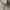 Issey Miyake Luxury Avant Garde Pleated skirt Wanita cream photo 5