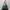 Michael Kors Luxury Casual Crossbody Bag Wanita Green