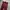 Dickies Streetwear Skater Pria burgundy photo 2