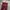 Dickies Streetwear Skater Pria burgundy photo 3