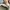 Dior Y2K Luxury Sneakers Wanita multicolor photo 5