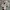 Dior Y2K Luxury Sneakers Wanita multicolor photo 7