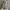 Dior Y2K Luxury Sneakers Wanita multicolor photo 3