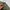 Japanese brand Streetwear Y2K Casual pants Pria multicolor green photo 2