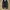 Salomon Gorpcore Sneakers Pria black photo 2